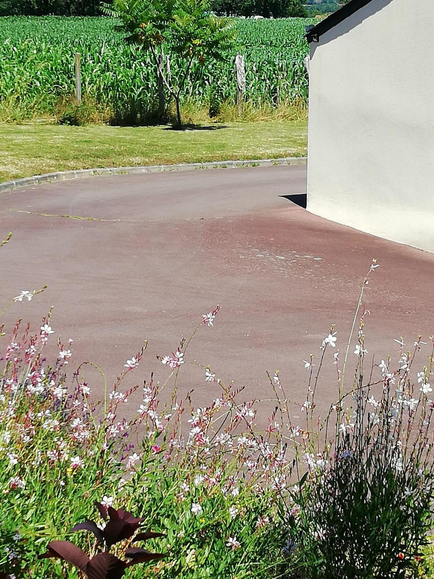 Bed and Breakfast Kerlan Béganne Esterno foto